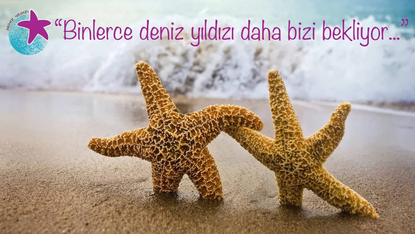 Kumsalda iki deniz yıldızı ve “Binlerce deniz yıldızı daha bizi bekliyor…” yazısı